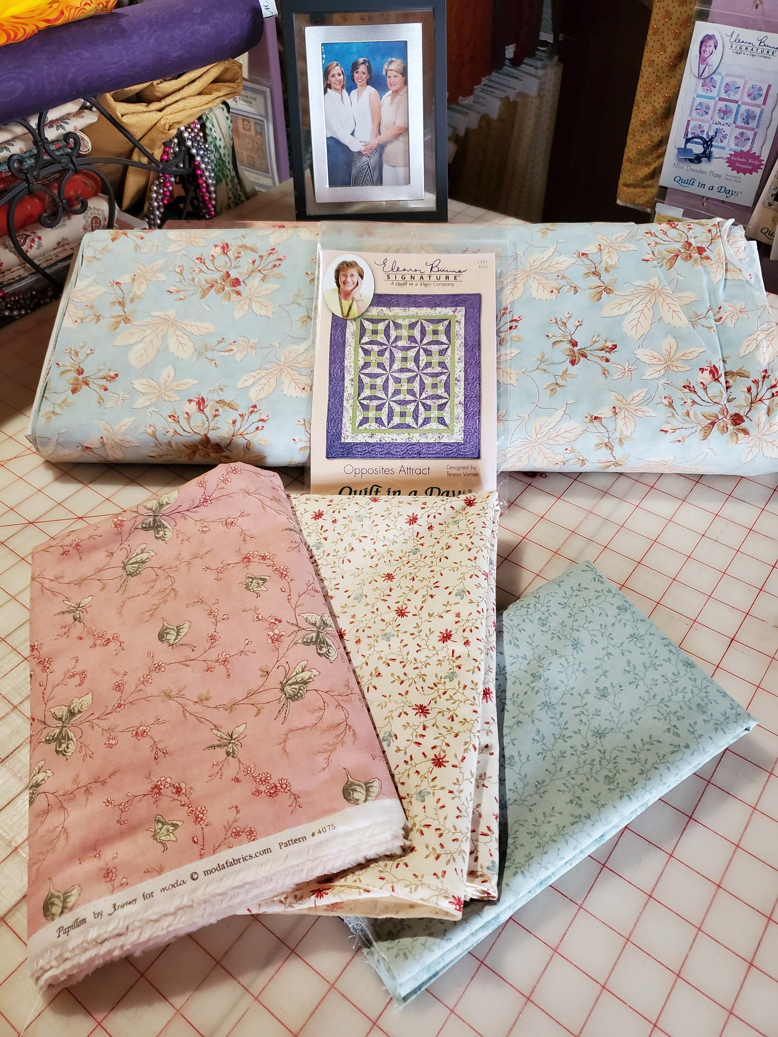 Quilt KitMODA Fabric/ 3 Sisters Papillon fabric/ Easy Etsy