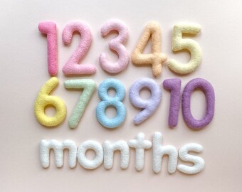 Rainbow Milestone Numbers, Felt Baby Monthly Milestone, Custom Colors