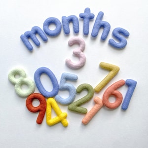 Felt Baby Milestone Numbers,  Felt Monthly Milestone