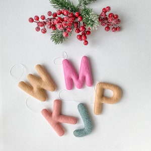 Può includere: Cinque ornamenti in feltro a forma di lettera in rosa, beige e azzurro. Le lettere compongono la parola "WMLP" con una "M" rosa e una "P" beige.