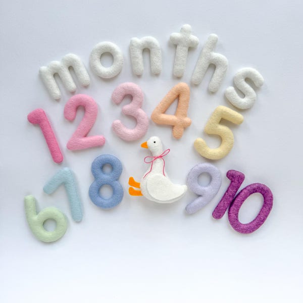 Baby Monthly Milestone Numbers with Silly Goose