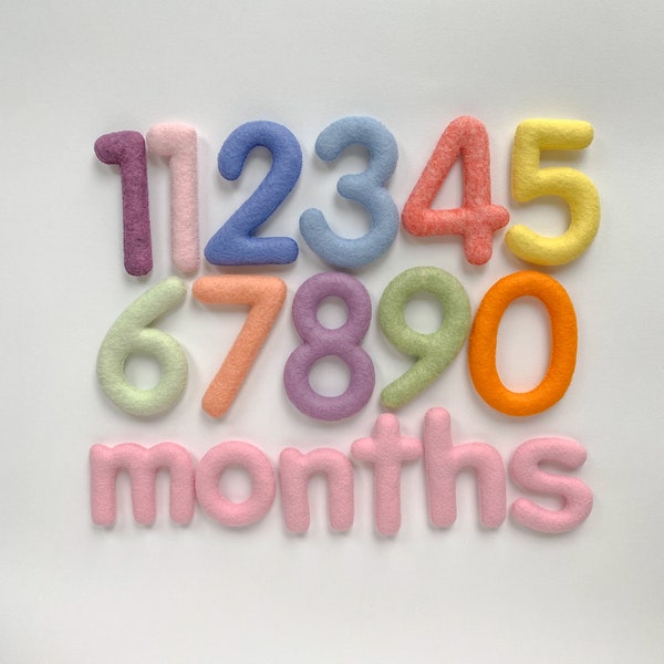 Felt Baby Monthly Milestone Numbers, Custom Colors