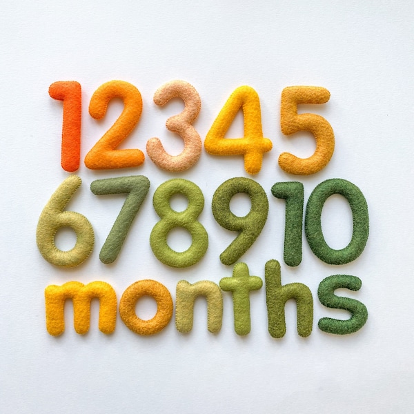 Felt Baby Monthly Milestone Numbers/Stuffed Numbers for Baby Month Tracker/ Custom Colors