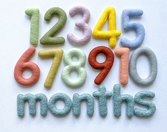 Felt Baby Monthly Milestone Numbers, Custom Colors