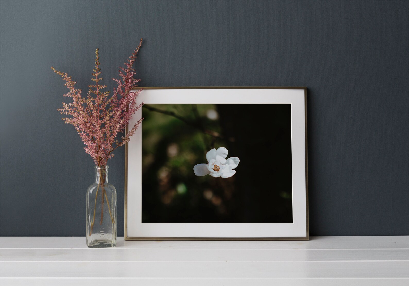 Magnolia Bloom Photography Print / Nature Photography | Etsy