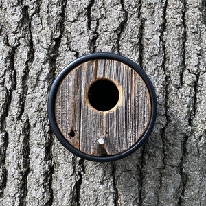 Birdhouse ~ Modern Birdhouse ~ Black Circular Tube w/ Reclaimed Vintage Barnwood ~ Wall Mount ~ MCM Minimalist ~ Unique, Handmade