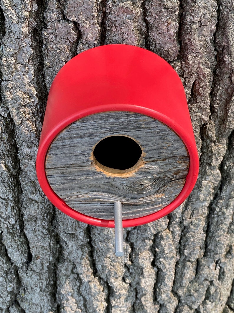 Cabane à oiseaux Cabane à oiseaux moderne Tube rond rouge avec bois de grange vintage récupéré Support mural MCM minimaliste Unique, fait main, extérieur image 4