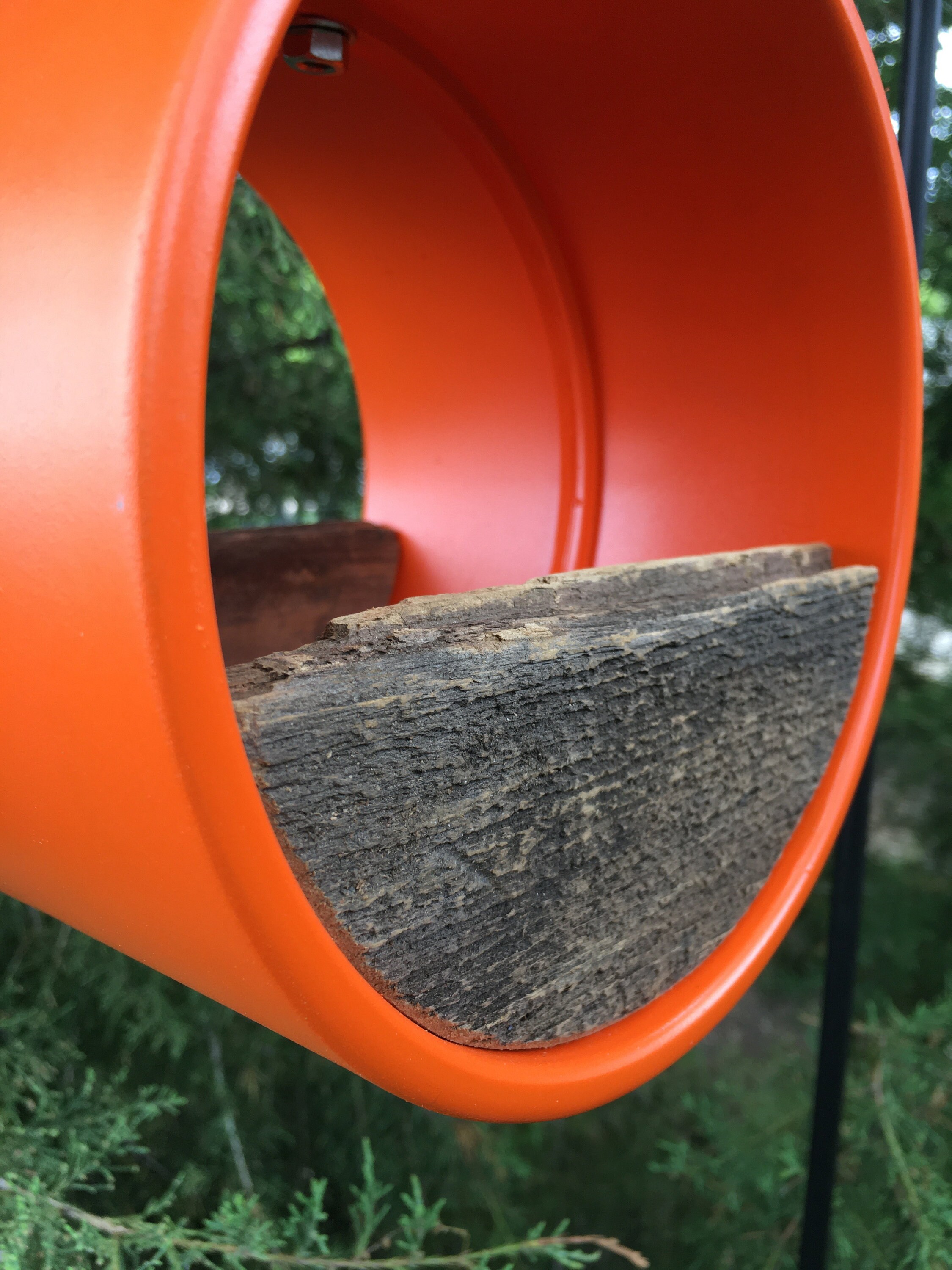 Modern Bird Feeder Orange Large Birdfeeder 71/4 Tube w/ Etsy