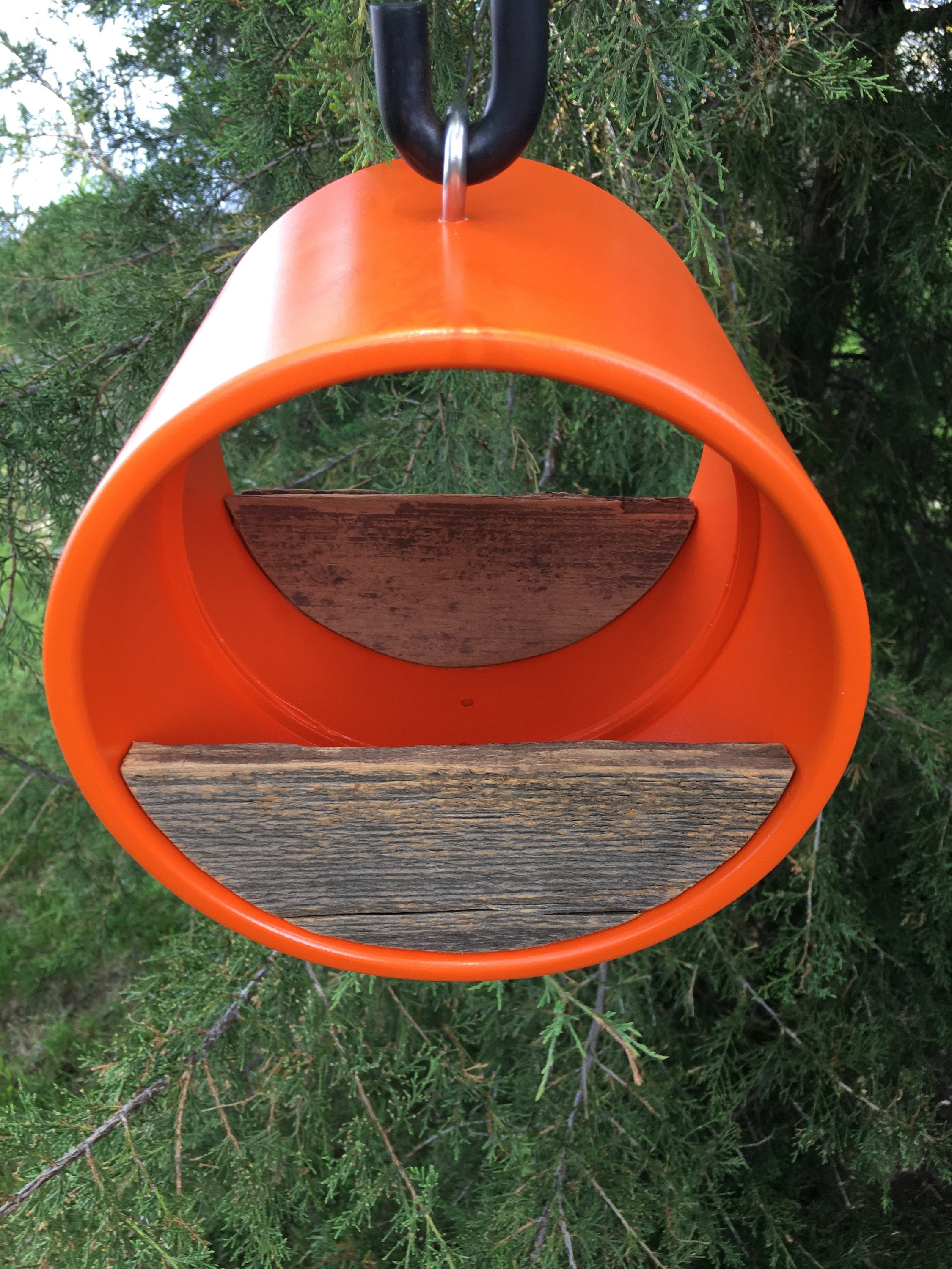 Modern Bird Feeder Orange Large Birdfeeder 71/4 Tube w/ Etsy