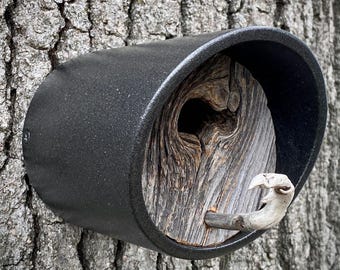 Modern Birdhouse: Reclaimed Barnwood, Graphite Grey, Knothole Entry, Driftwood Perch