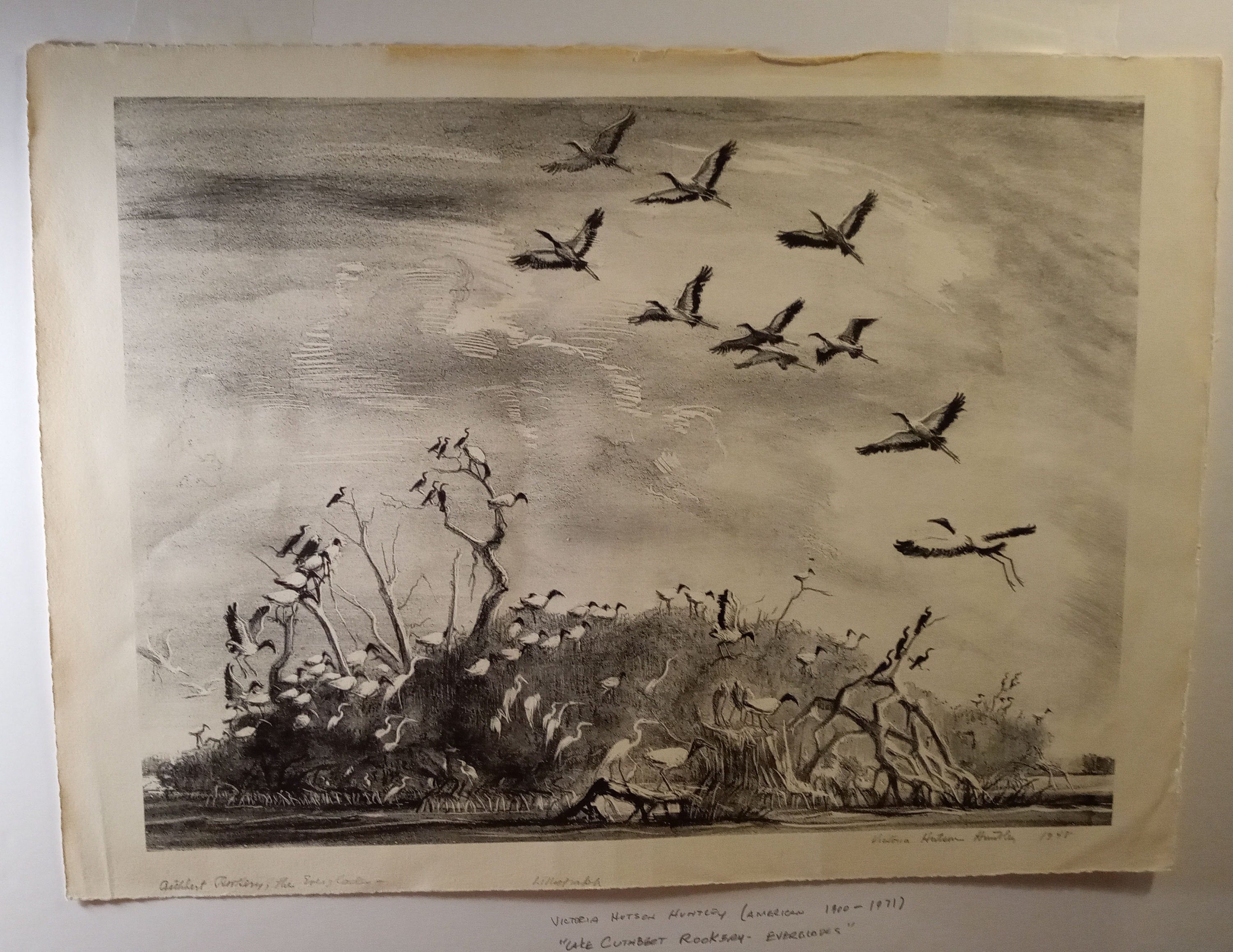 Victoria Hudson Huntley american 19001971 the Lake Cuthbert Rookery