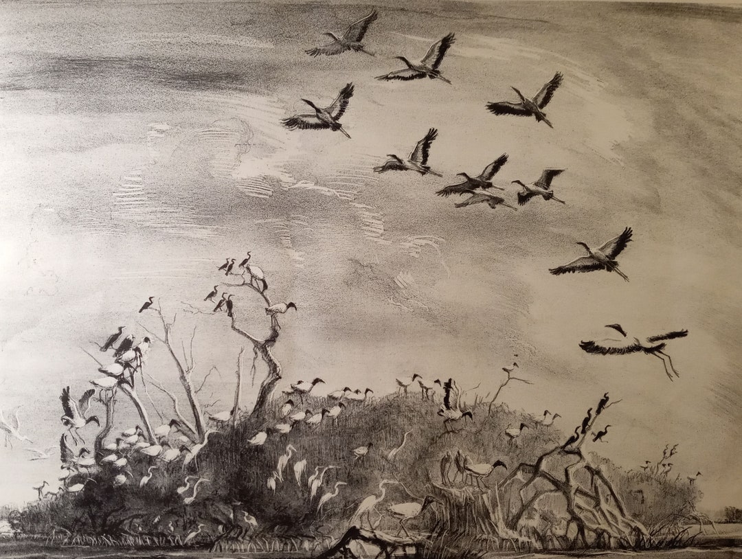 Victoria Hudson Huntley american 19001971 the Lake Cuthbert Rookery