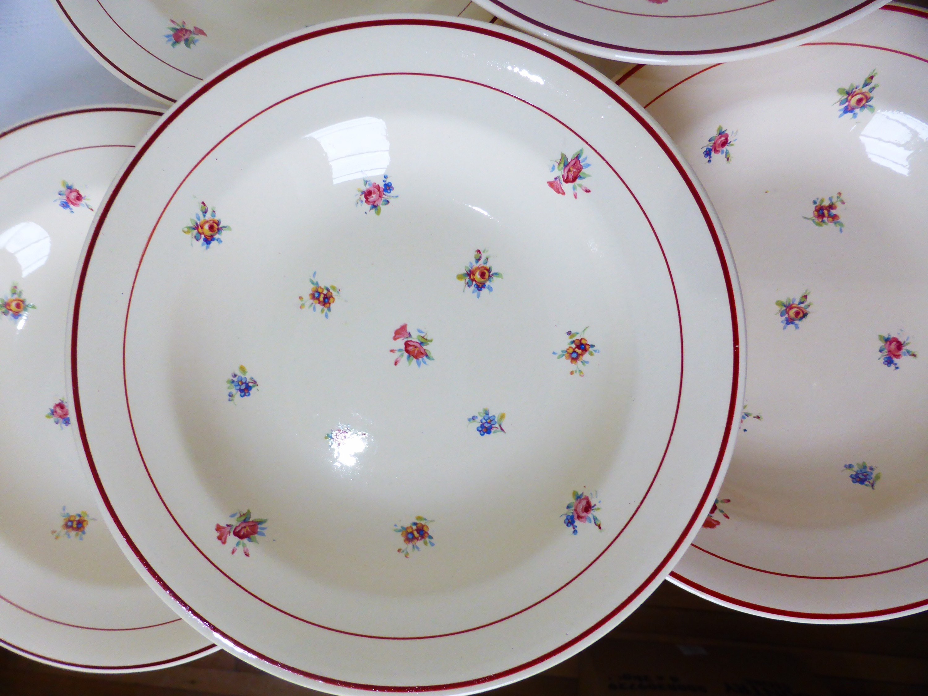 6 Assiettes Creuses Vintage en Porcelaine Des Salins