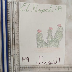 Könnte beinhalten: Eine handgezeichnete Illustration eines Feigenkaktus mit drei rosa Blüten. Die Zeichnung ist auf weißem Papier mit den Worten "El Nopal 39" in grüner Tinte oben und "El Nopal 39" in brauner Tinte unten.