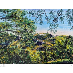Hollywood Hills