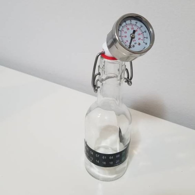 Beer Homebrew Bottle Pressure Gauge Cap Cider Kombucha