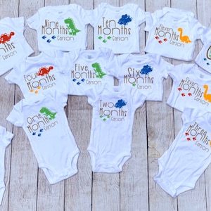 Monthly Milestone Onesies/Dinosaurs/Onesie Set/Coming home