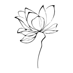 Flor de loto, arte lineal (SVG, PNG, PDF), tatuaje