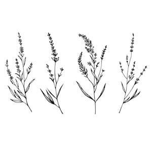 Flower Lavender Illustration svg, Lavendel Line Art, Lavendel Fine line (SVG, PNG, PDF), Outline Tattoo
