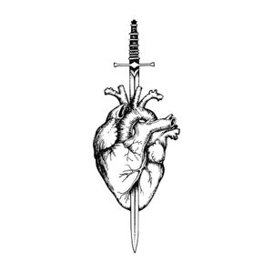 Anatomie Heart und Schwerter, Illustration Heart, SVG PNG PDF