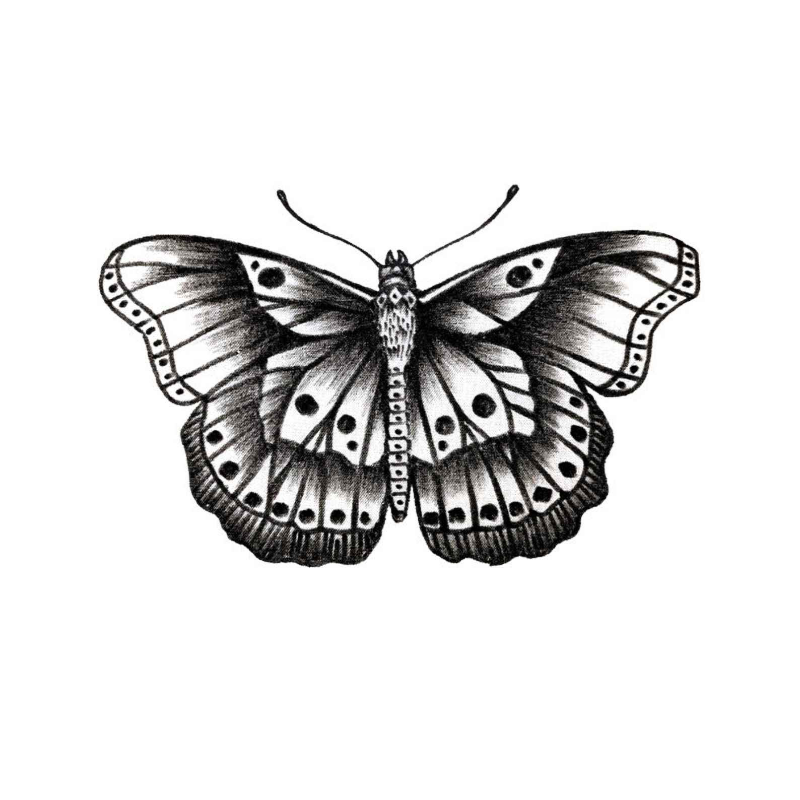 Free Free 76 Harry Styles Butterfly Tattoo Svg SVG PNG EPS DXF File