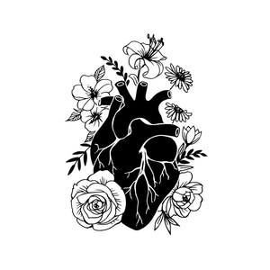 Corazón de anatomía, Corazón de flores, SVG PNG PDF