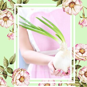 Create a Housekeeping Routine - A Thirty Day Guide and Workbook
