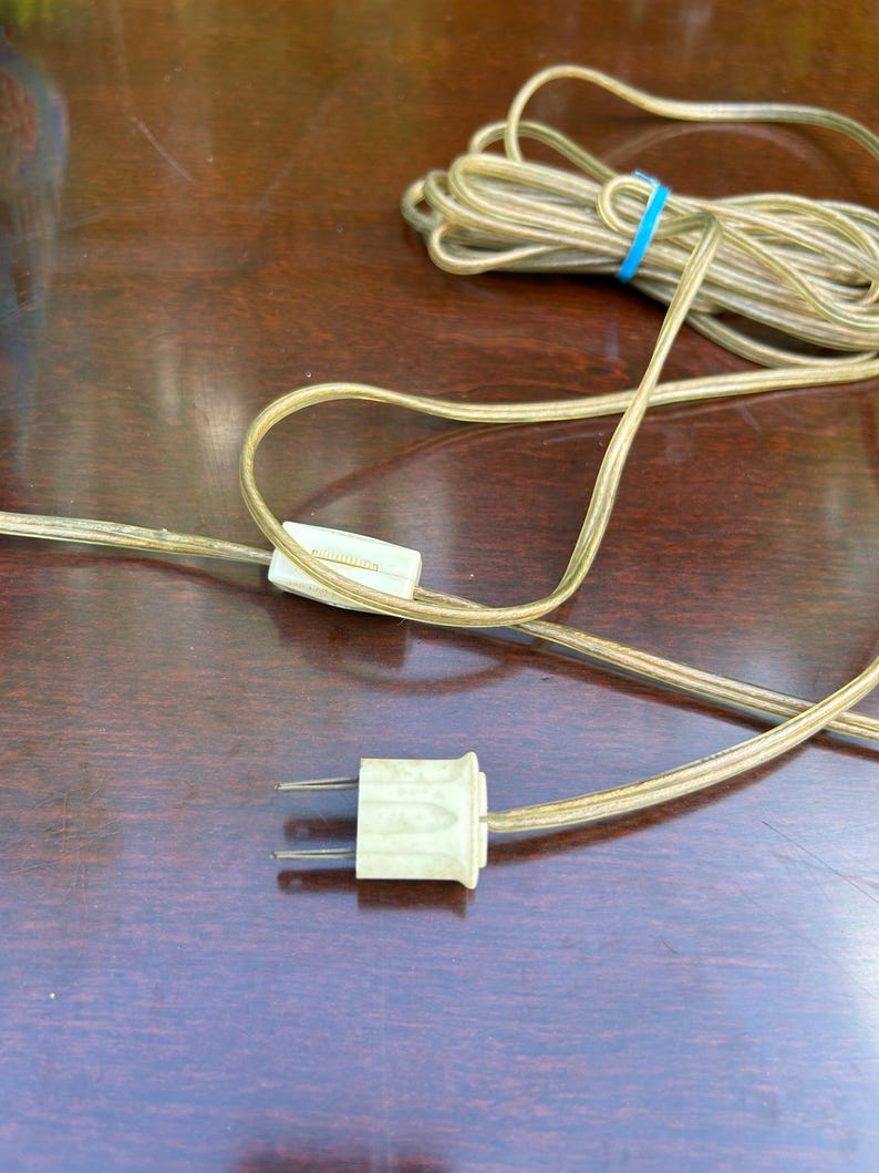 Puede incluir: Primer plano de un cable el&eacute;ctrico blanco con un enchufe y un interruptor en l&iacute;nea. El cable est&aacute; enrollado y sobre una superficie de madera marr&oacute;n oscura.