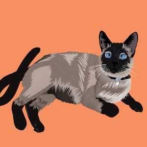 Custom Pet Illustration
