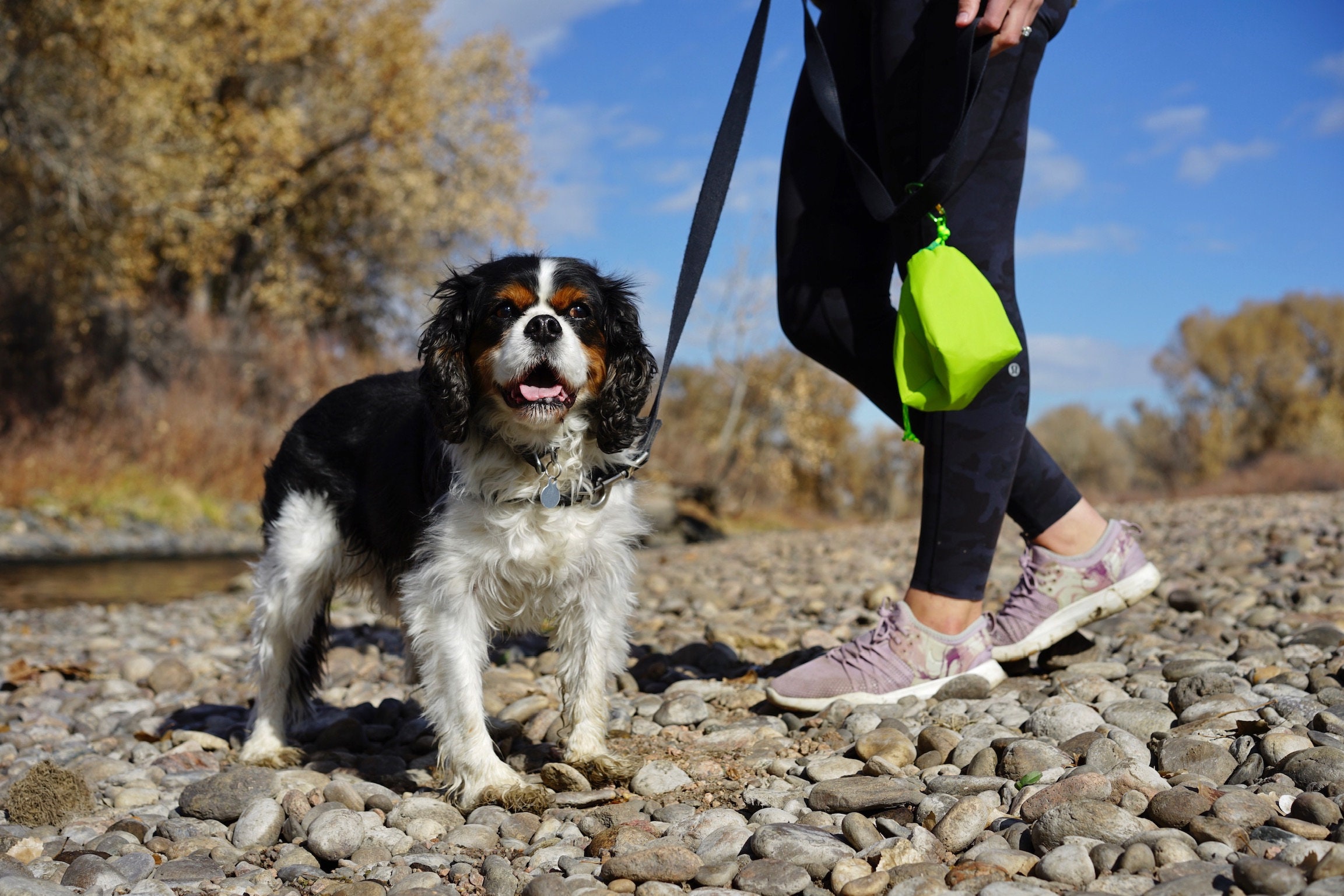Dog Poop Carrier Dog Waste Bag Carrier Dog bag and poop Etsy