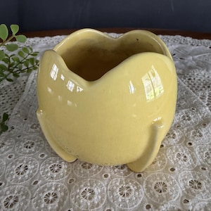 May include: A pale yellow ceramic planter with a rounded shape and three small feet. The planter has a wavy rim and a smooth, glossy finish. The interior is a darker shade of yellow.