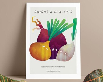 Onion And Shallots Poster, Illustrated Food Print, Onions Incompatible Plants, A5 Poster for Gardening, Food Growing Poster,Kitchen Wall Art