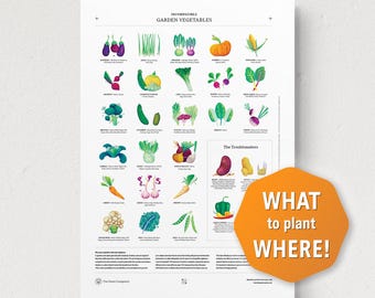 Companion Planting Guide Poster: Eco-Friendly Garden Decor