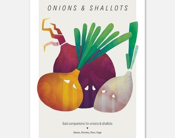Onions and Shallots Print Art, Food Growing Poster А5, Onions Incompatible Plants, Gift for Gardener, Wall Decor for Kitchen