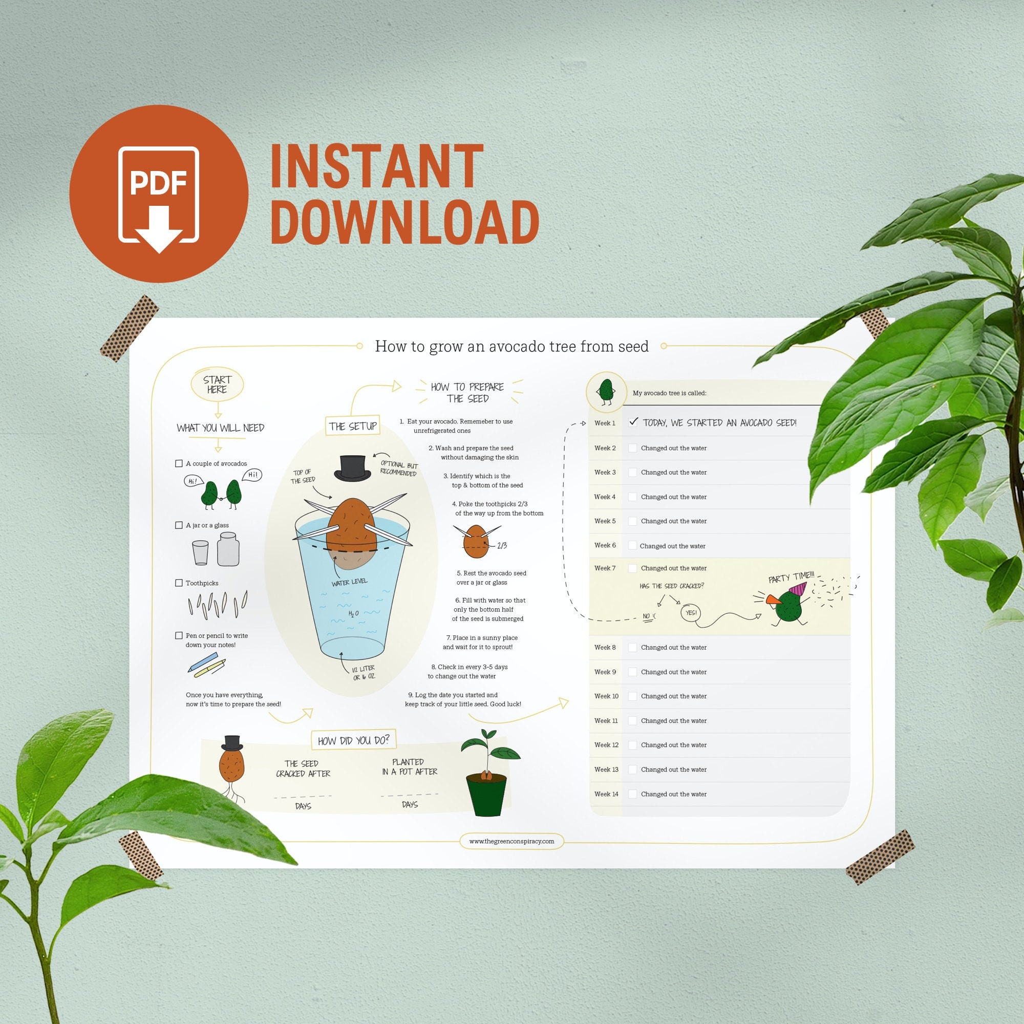 Theprivateavocado: The Ultimate Guide For Beginners - u1xc2nn