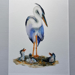 Heron Family Watercolor Painting / blue heron painting, heron family painting, heron family art, blue heron art, blue heron wall art, heron