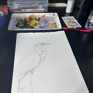 May include: A pencil sketch of a white heron on a white sheet of paper. The heron is standing on one leg with its head turned to the side. The sketch is on a black surface.