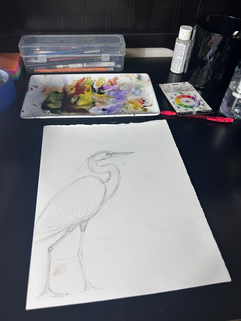 May include: A pencil sketch of a white heron on a white sheet of paper. The heron is standing on one leg with its head turned to the side. The sketch is on a black surface.