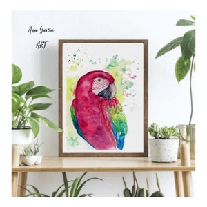 Watercolor painting parrot, watercolor painting birds, parrot artwork