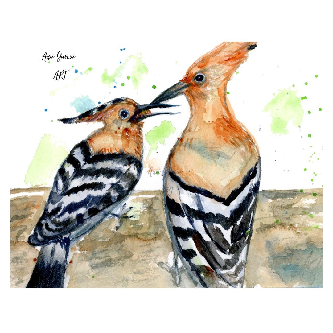 Hoopoe Bird Art Printwatercolor Painting Birds Painting - Etsy