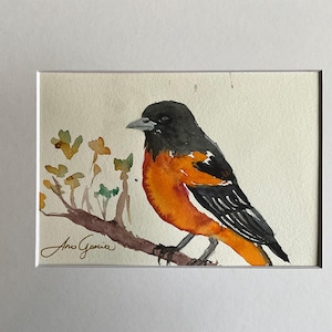 American robin bird original watercolor painting, American robin art bird Original art, American robin Original Art,
