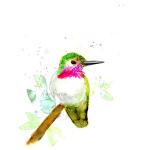 Kolibri Aquarell Malerei von Ana García, Kolibri Kunst malerei, Kolibri Kunstdruck, Kolibri Wand dekor
