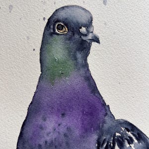 pigeon art, pigeon watercolor, pigeon painting, pigeon illustration, pigeon wall decoration, pigeon original art, pigeon artwork