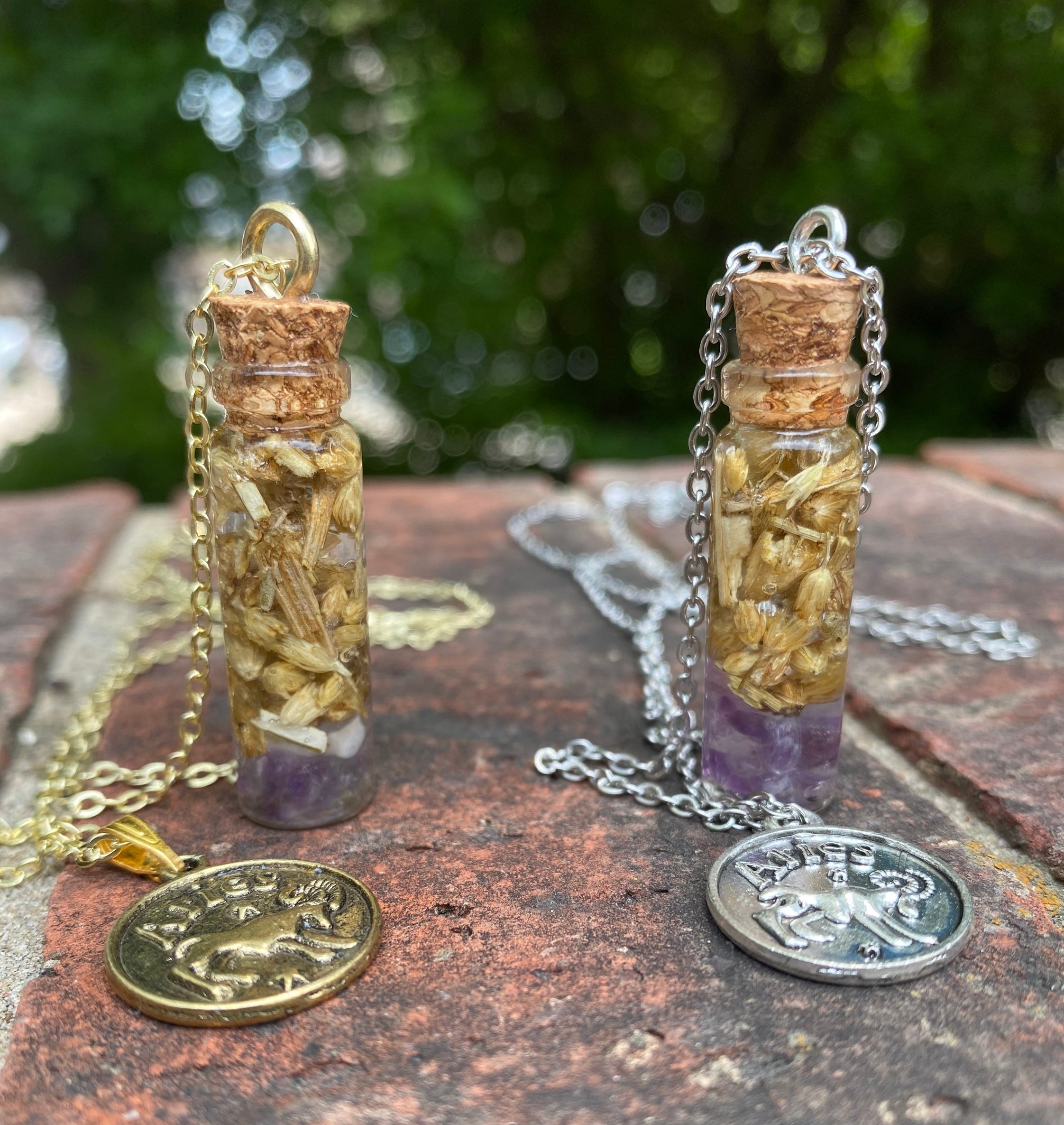 Aries Zodiac Witches Bottle Amulet Necklace | Etsy