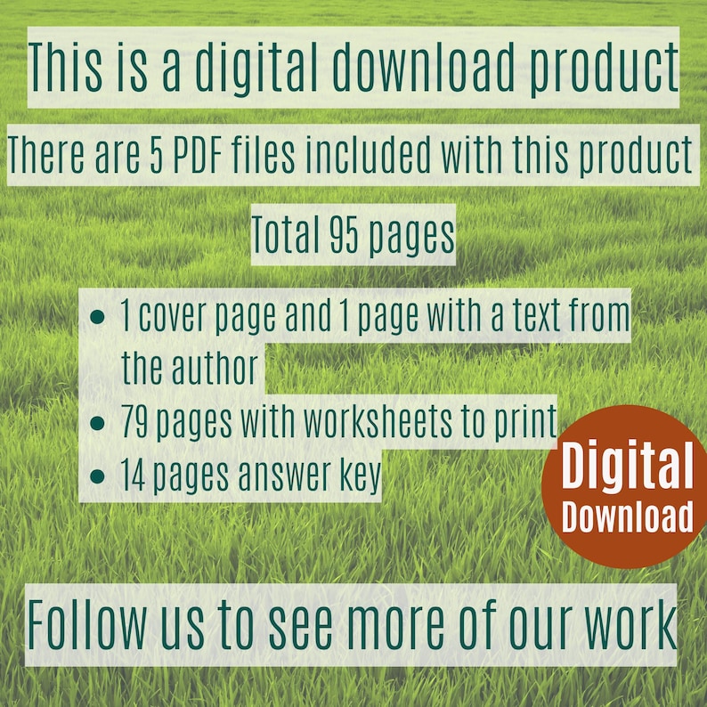 About the workbook horse activities for kids.