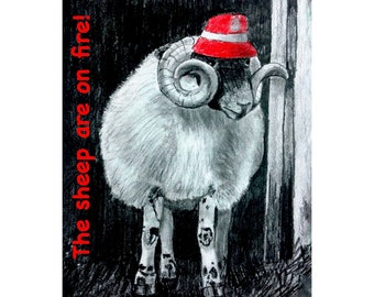 016 Aberdeen FC Sheep Art Print, Scottish Football, Pittodrie Stadium