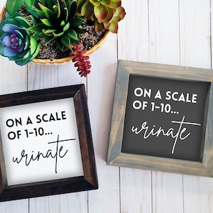 Puede incluir: Dos letreros cuadrados enmarcados con el texto "ON A SCALE OF 1-10... urinate" en una fuente manuscrita. Un marco es marrón oscuro, el otro es gris. Una pequeña planta suculenta en maceta está en el fondo.