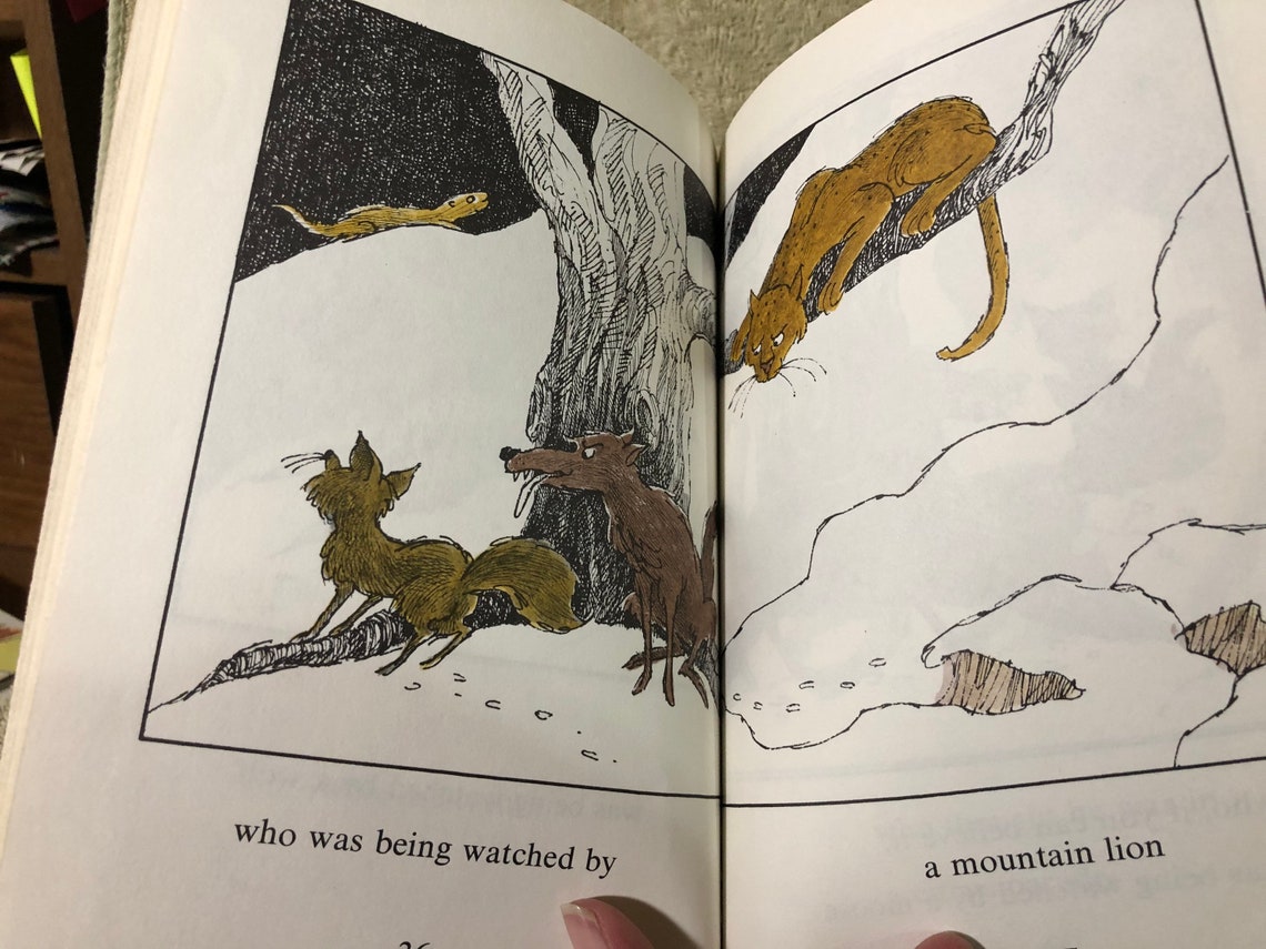 Oscar Otter Children's Illustrated Book - Etsy UK