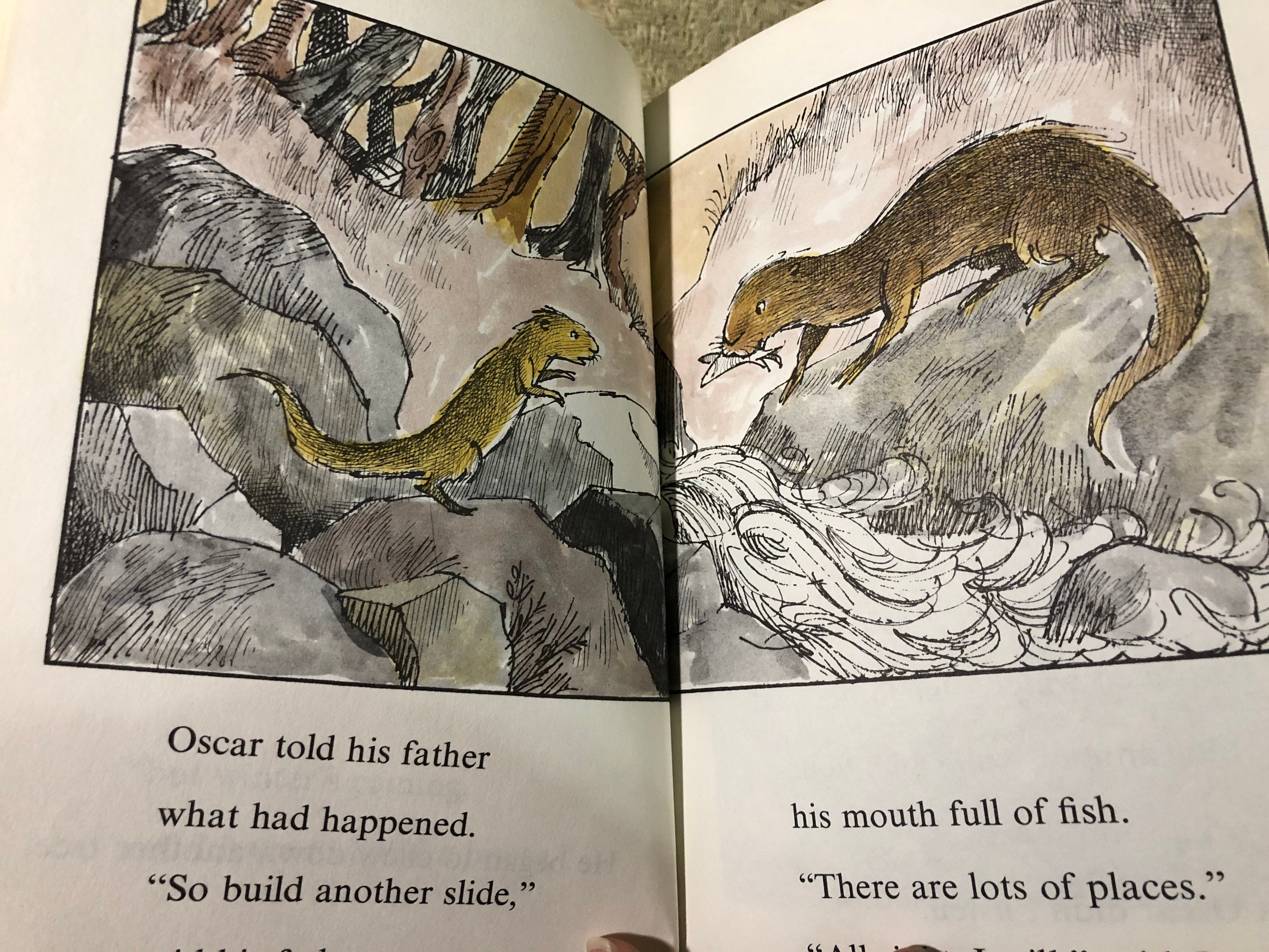 Oscar Otter Children's Illustrated Book - Etsy UK