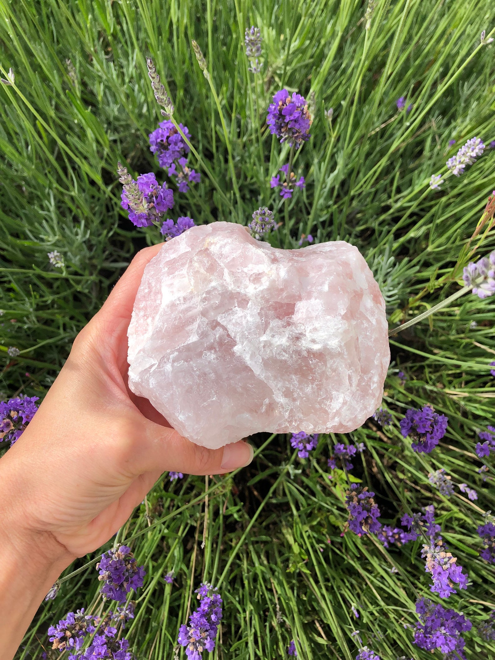 giant rose quartz crystal giant rose quartz crystal